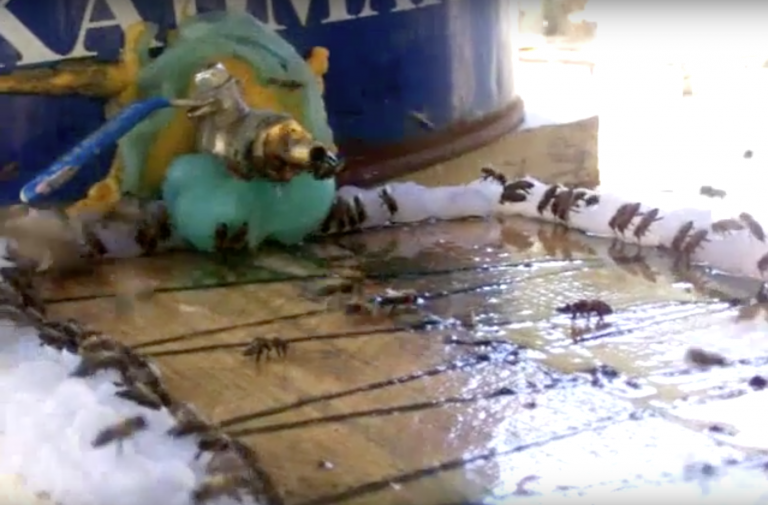 Arıcılıkta sulama Anadolu Paket Arıcılık